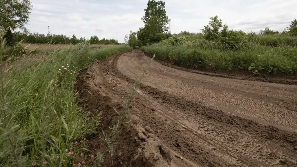 Un chemin de terre serpente vers la gauche à travers l'herbe verte et les fleurs sauvages, bordé d'arbres sous un ciel partiellement nuageux. Le chemin semble usé et bien fréquenté.