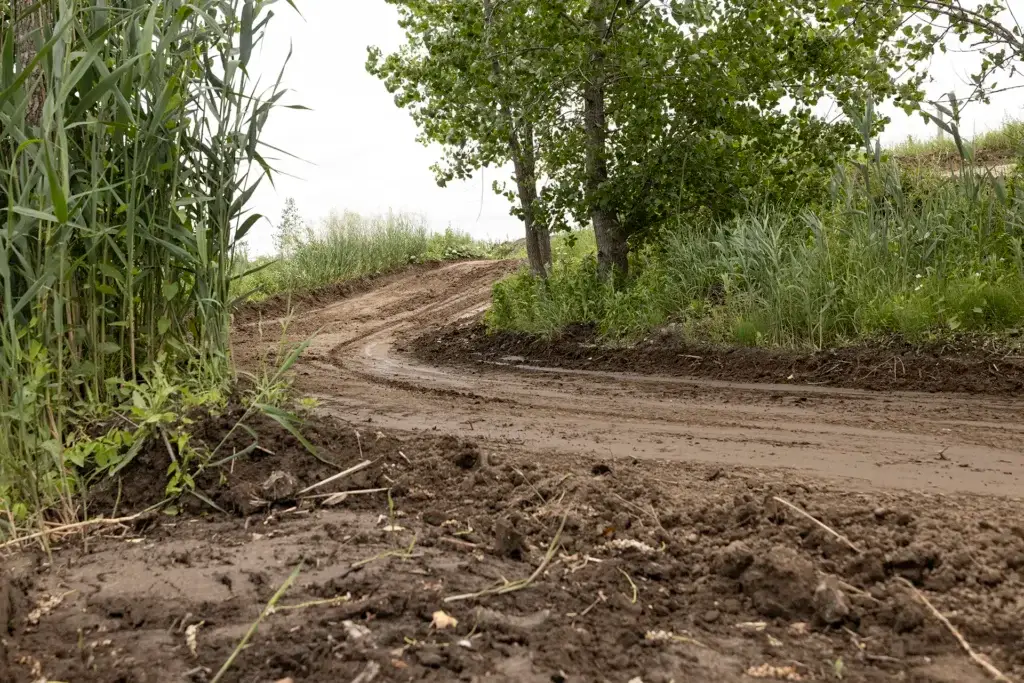 Un chemin de terre serpente à travers un paysage verdoyant, avec des herbes hautes et des arbres de part et d'autre, et un sol boueux au premier plan sous un ciel couvert.