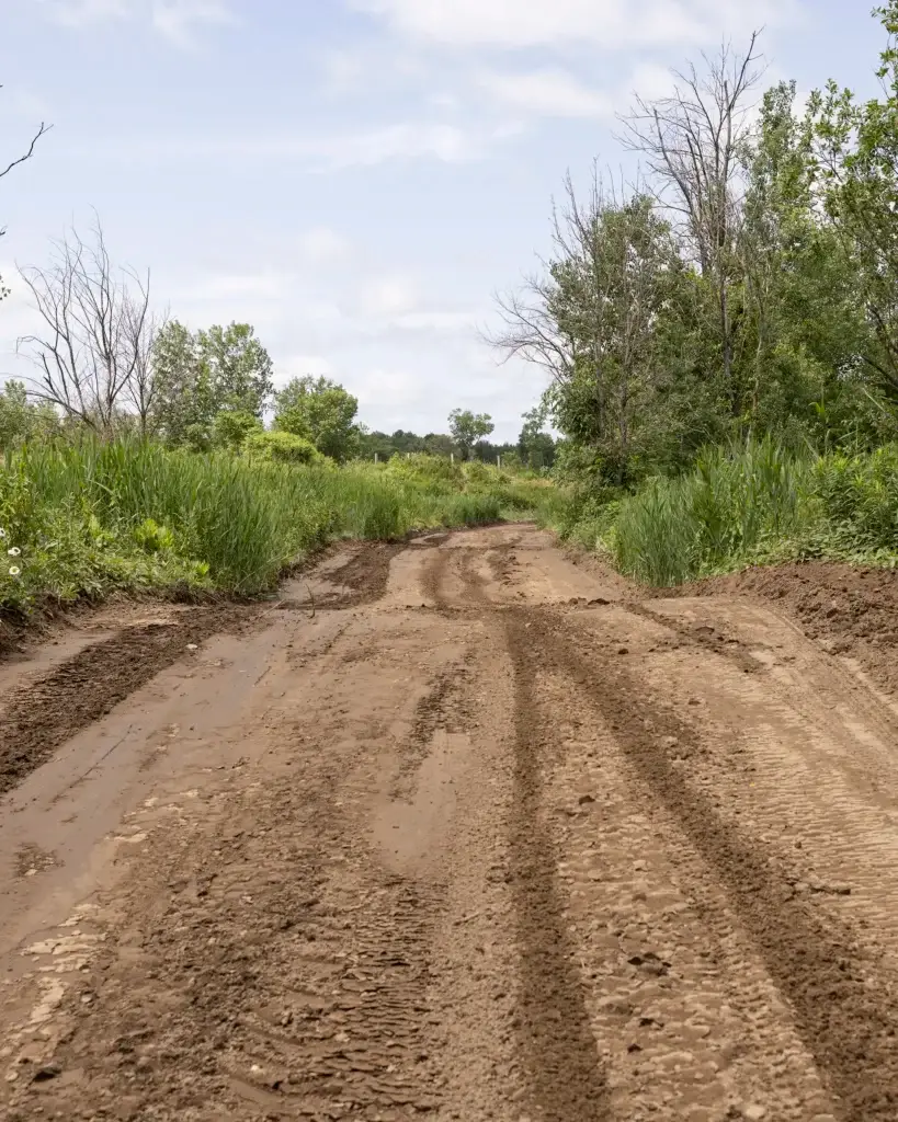 Un chemin de terre boueux avec de profondes traces de pneus traverse une campagne verdoyante et envahie d'arbres et de buissons de part et d'autre, sous un ciel partiellement nuageux.