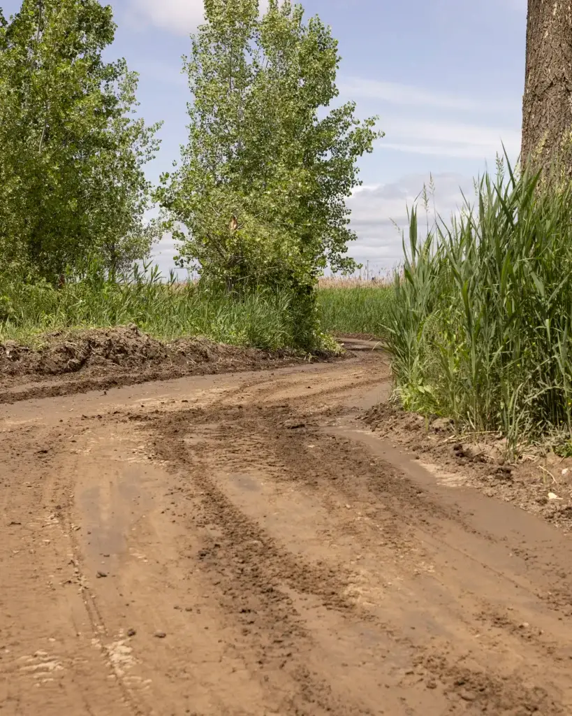 Par une journée nuageuse, un chemin de terre boueux serpente à travers la végétation verte et l'herbe haute, des arbres et des arbustes bordant le chemin.