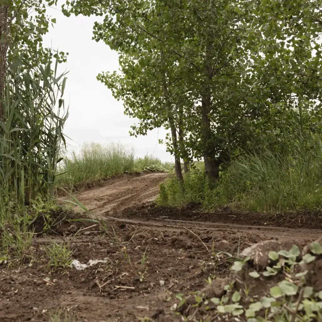 Un chemin de terre serpente à travers une végétation verdoyante et des arbres, avec de l'herbe envahie et des plantes feuillues des deux côtés, sous un ciel couvert.