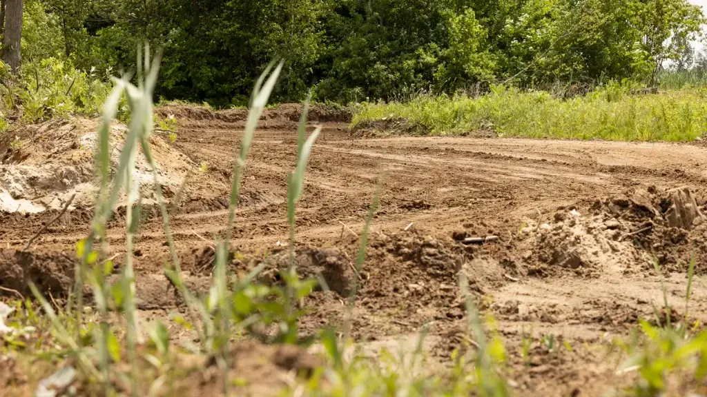 Un chemin de terre ou une route serpente à travers une zone verte, herbeuse et boisée, avec un sol irrégulier, de petites plantes et des arbres visibles à l'arrière-plan à la lumière du jour.