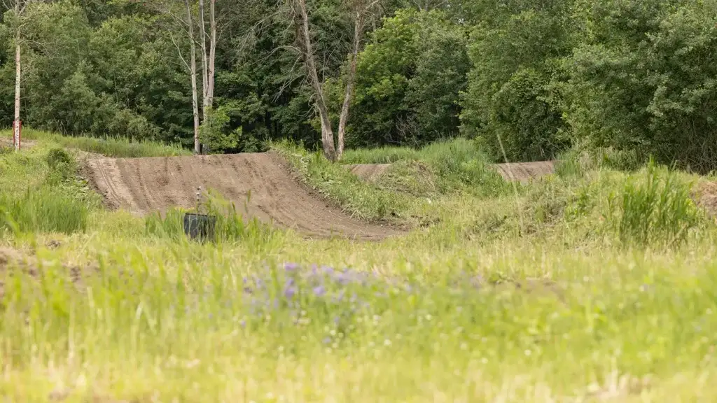 Une piste de moto tout-terrain avec des rampes et des courbes traverse un champ herbeux et fleuri, bordé d'arbres verts denses, à la lumière du jour.