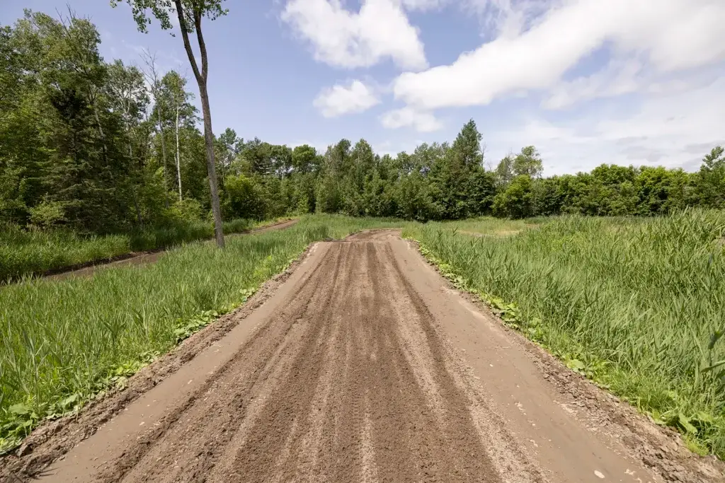 Un chemin de terre ou un sentier traverse un paysage verdoyant avec des herbes hautes et des arbres sous un ciel partiellement nuageux. La scène est lumineuse et paisible, suggérant un environnement rural ou de campagne.