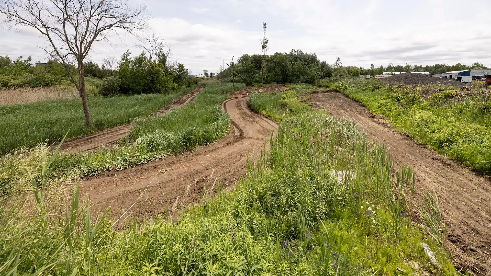 A winding dirt road winds through the green grass and vegetation, surrounded by trees and bushes under a cloudy sky in a rural setting.